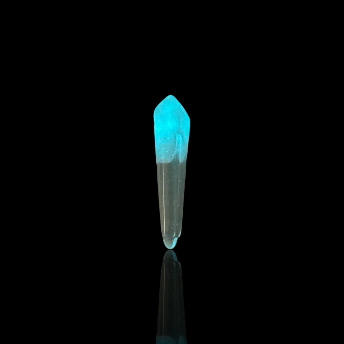 Phil Siegel - Terp Crystal