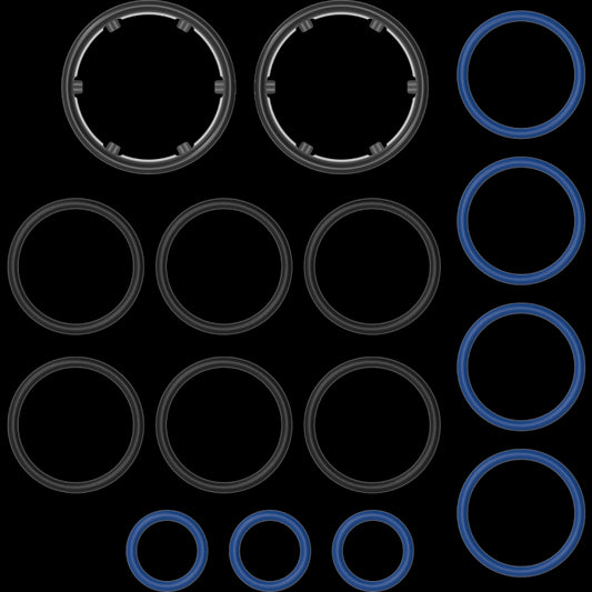 STORZ & BICKEL SOLID VALVE O-RING SET